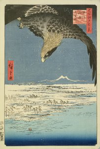 Eagle Over 100,000 Acre Plain at Susaki, Fukagawa (Juman-tsubo), from the series 100 Views of Edo (Meisho Edo hyakkei), pub. by Uoya Eikichi, 1857, (colour woodblock print) (see 65424)